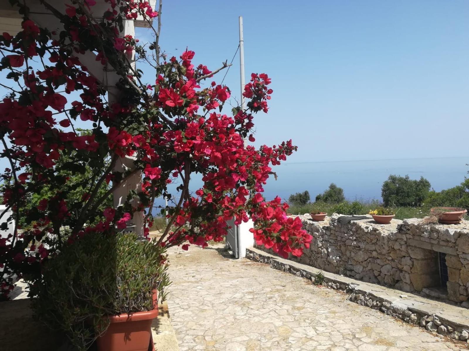 Azzurrosalento Villa Marina Serra Eksteriør bilde