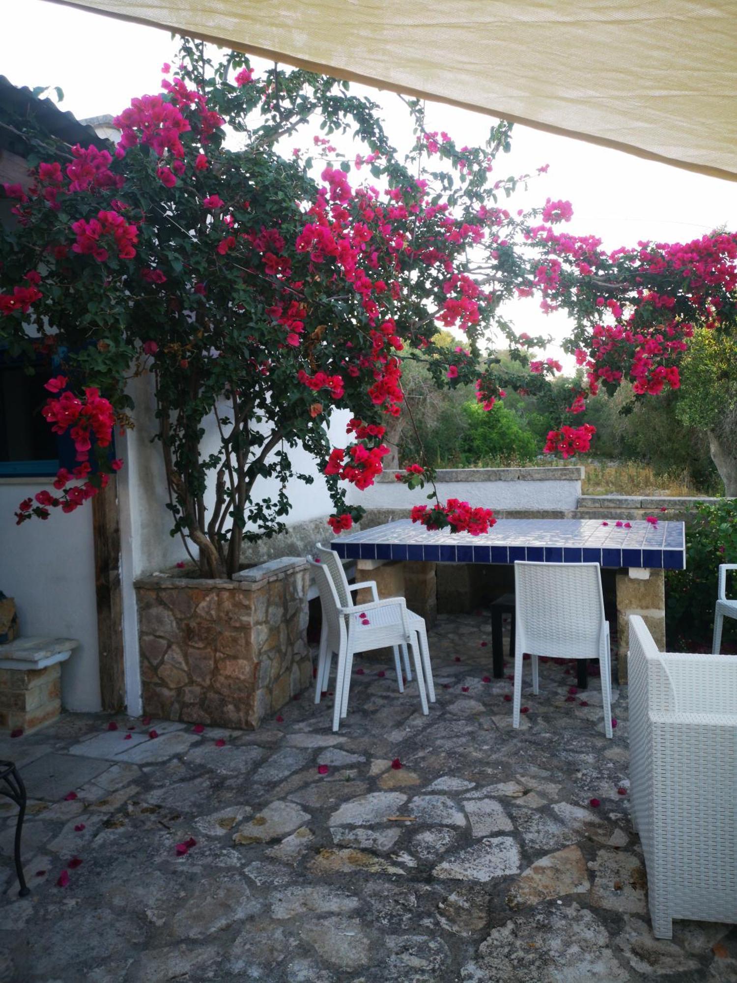 Azzurrosalento Villa Marina Serra Eksteriør bilde
